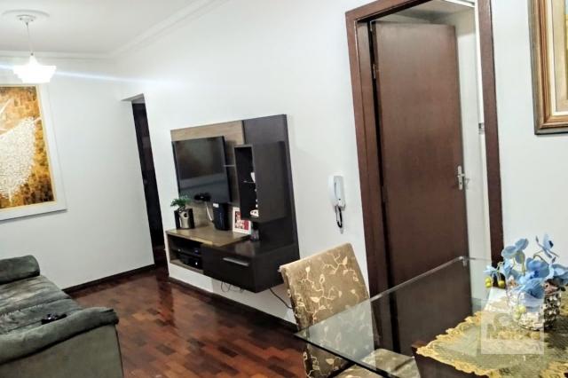 Apartamento à venda com 3 dormitórios em Caiçara-adelaide, Belo horizonte cod:271487 - Foto 3