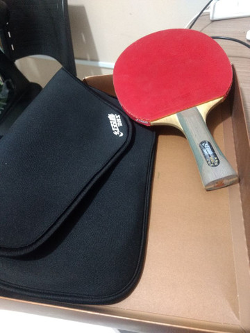 Raquete Tênis de Mesa e Ping Pong DHS 6002