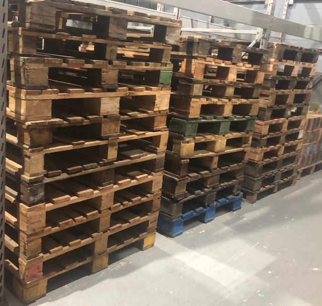 Pallet de madeira