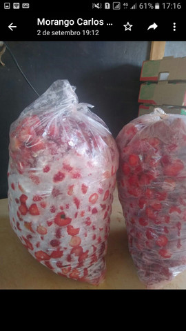 Morangos congelado - Foto 3