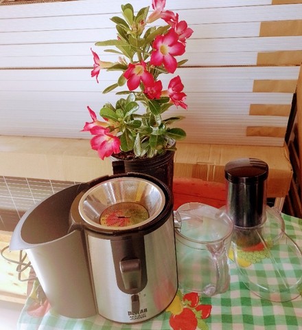 dellar magic juicer
