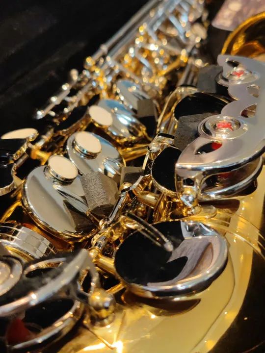 Sax Alto Novo Líder Absoluto em Vendas de Saxofones na OLX
