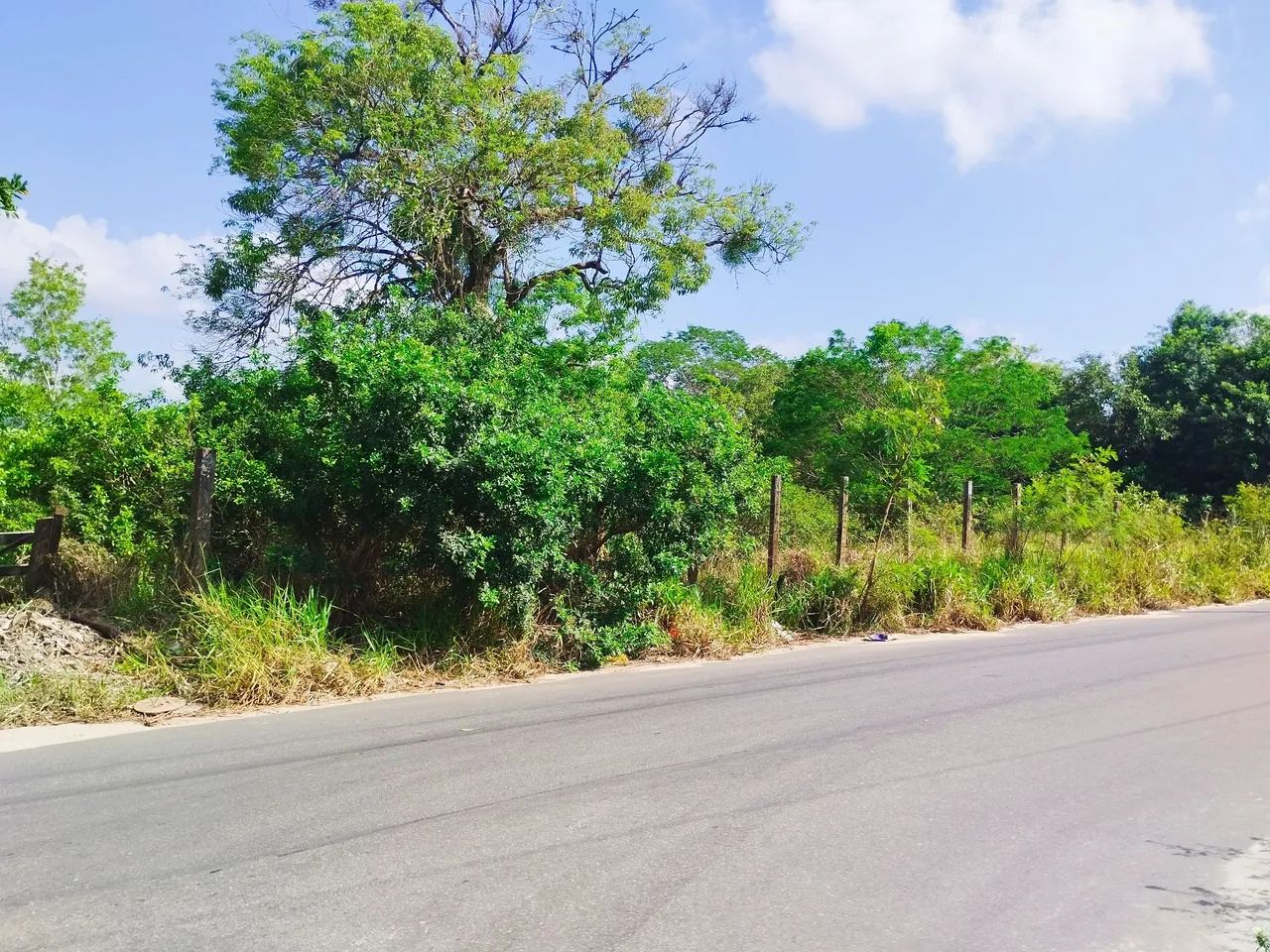 foto - Guarapari - Perocão