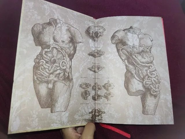 Livro Frankenstein (edição de luxo) - Foto 2