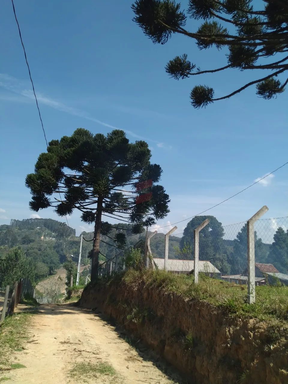 CHÁCARA à venda com 4840m² por R$ 110.000,00 no bairro Areia Branca - MANDIRITUBA / PR - Foto 10