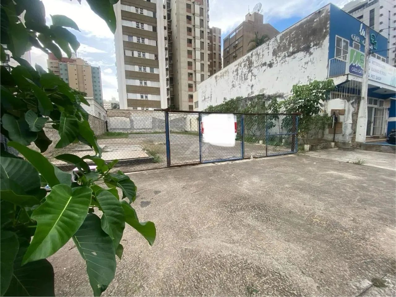 terreno - Centro - Campinas