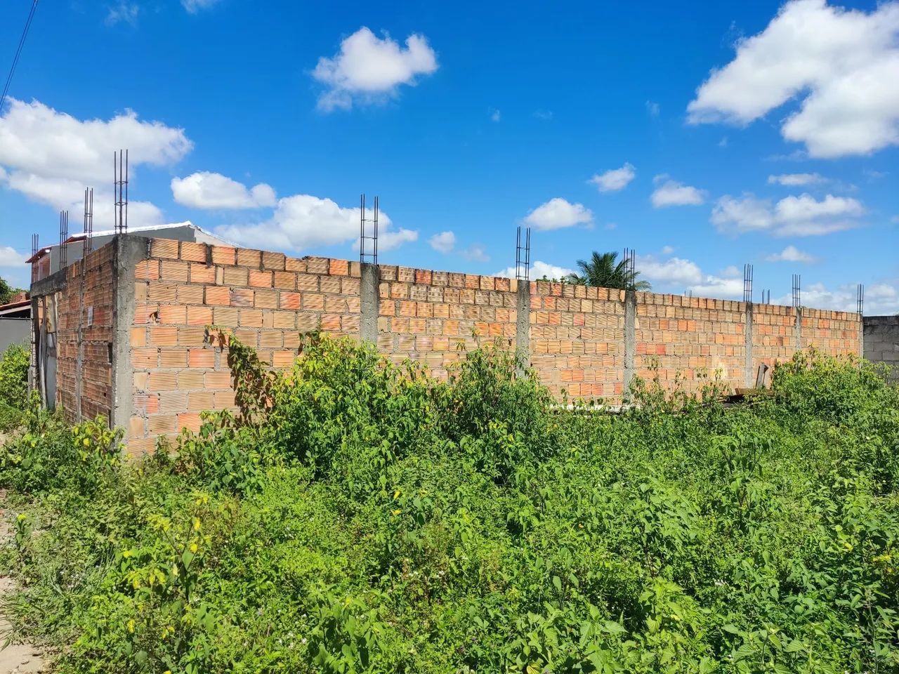 Foto - Feira de Santana - Campo Limpo