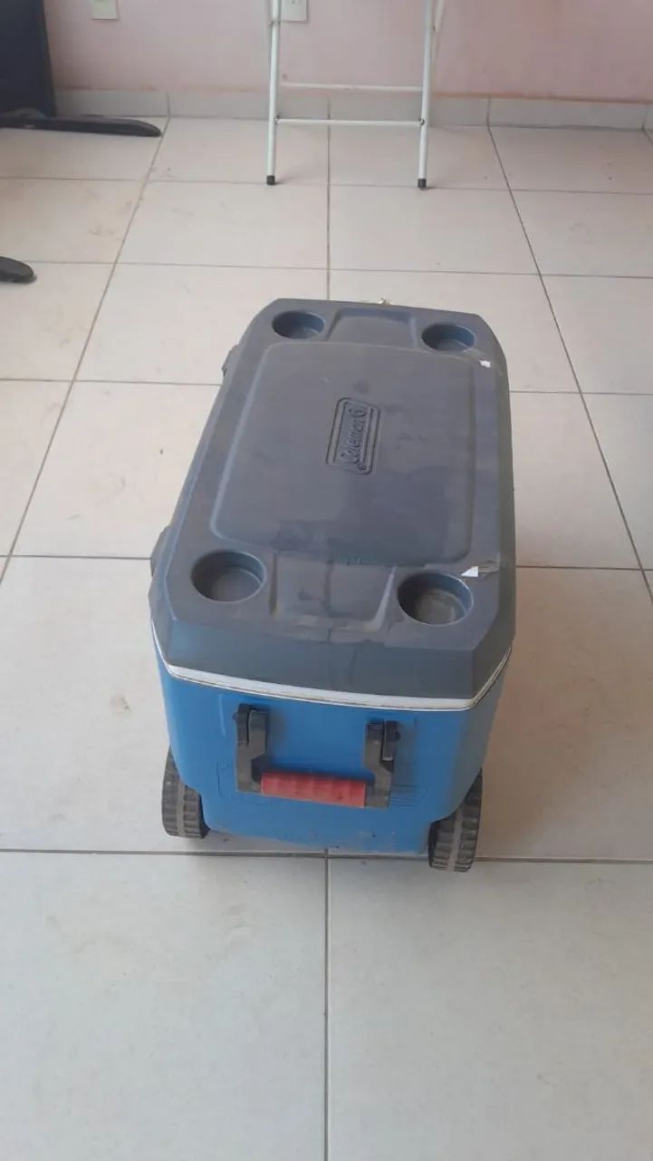 Caixa térmica 50 litros