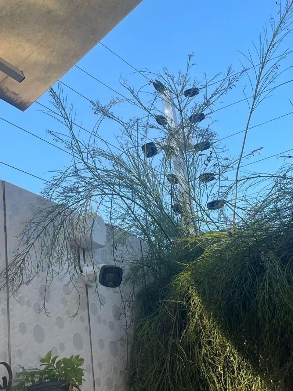 cerca elétrica e câmeras de segurança  - Foto 5