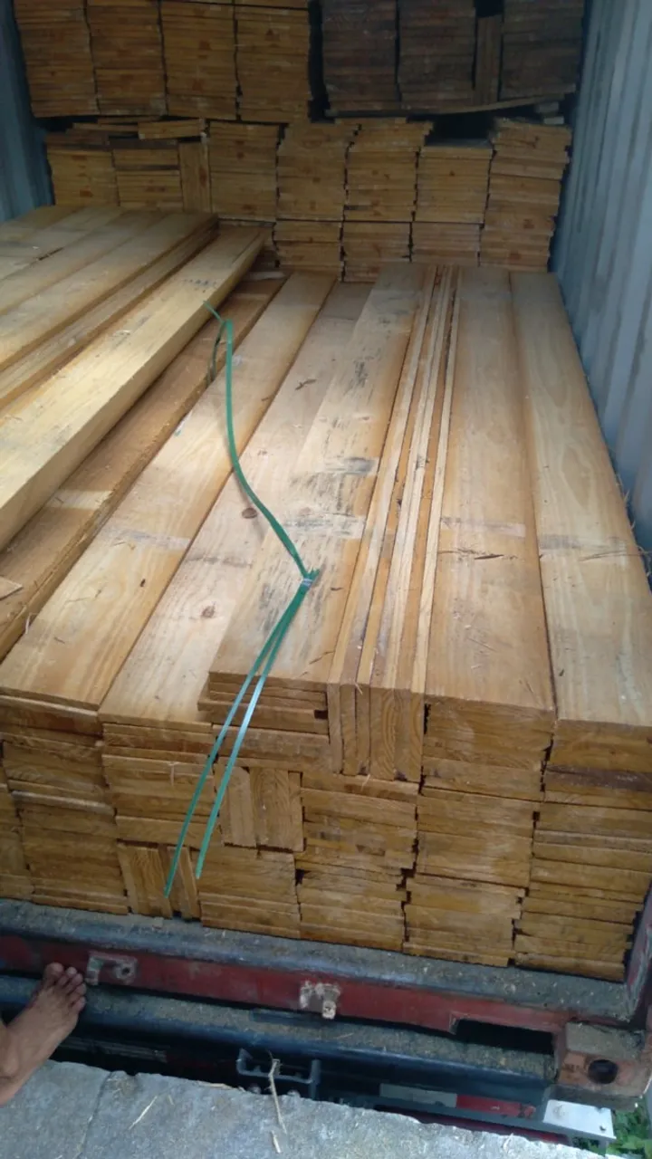 Tábuas de Pinus