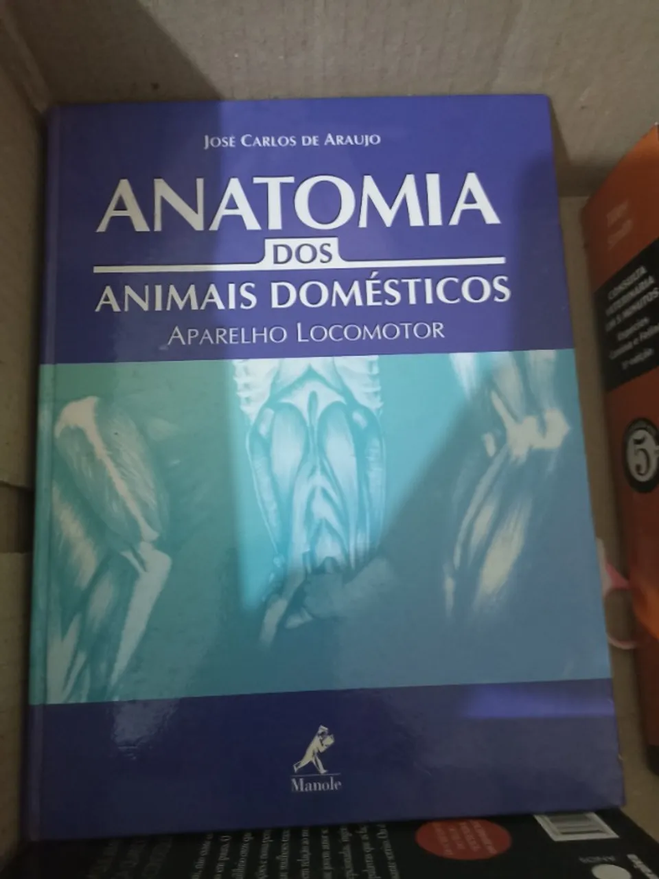 Livro anatomia dos animais domésticos aparelho locomor