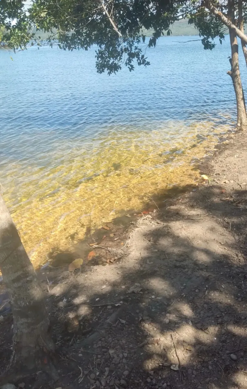 Chácara beira lago, sentindo Lageado c Área privativa km 31