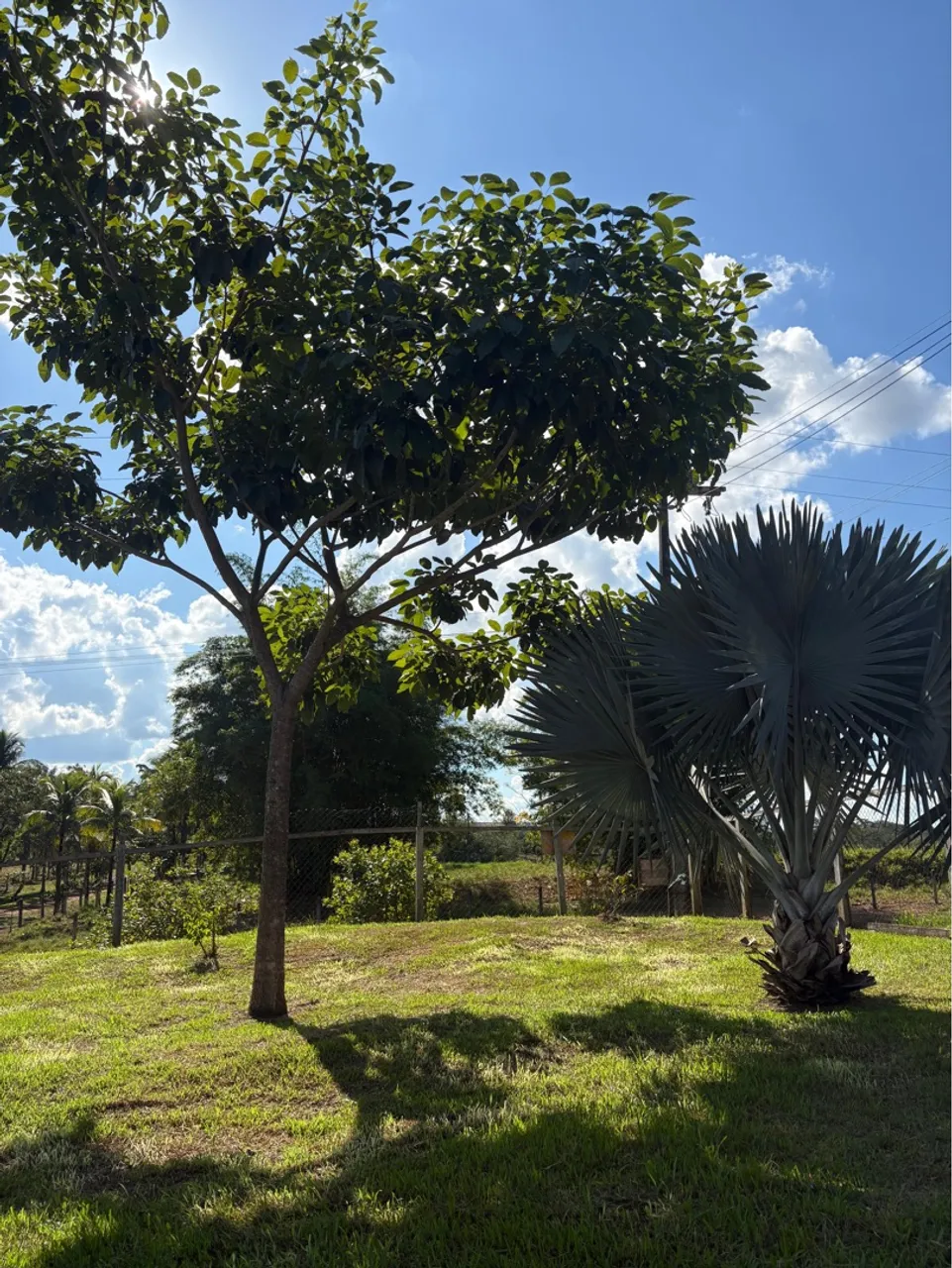 Chácara tamanho 50x50