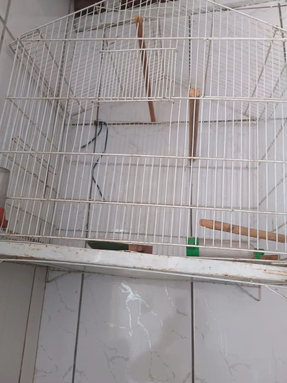 Gaiola para calopsita  - Foto 5