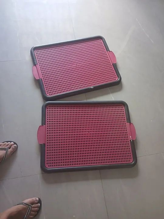 Tapetes Higiênicos para Cães