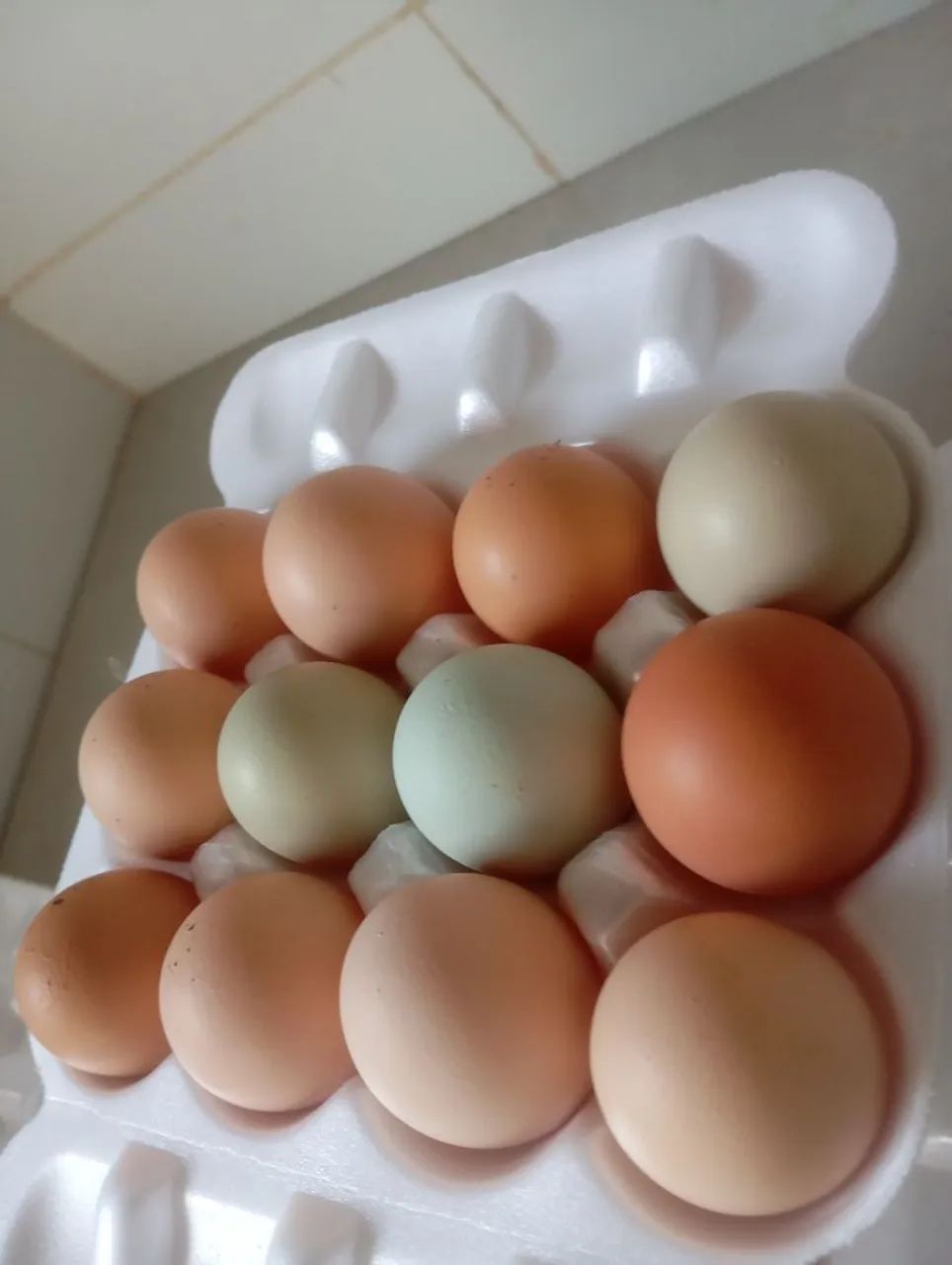 Vendo ovos atacado - Foto 5