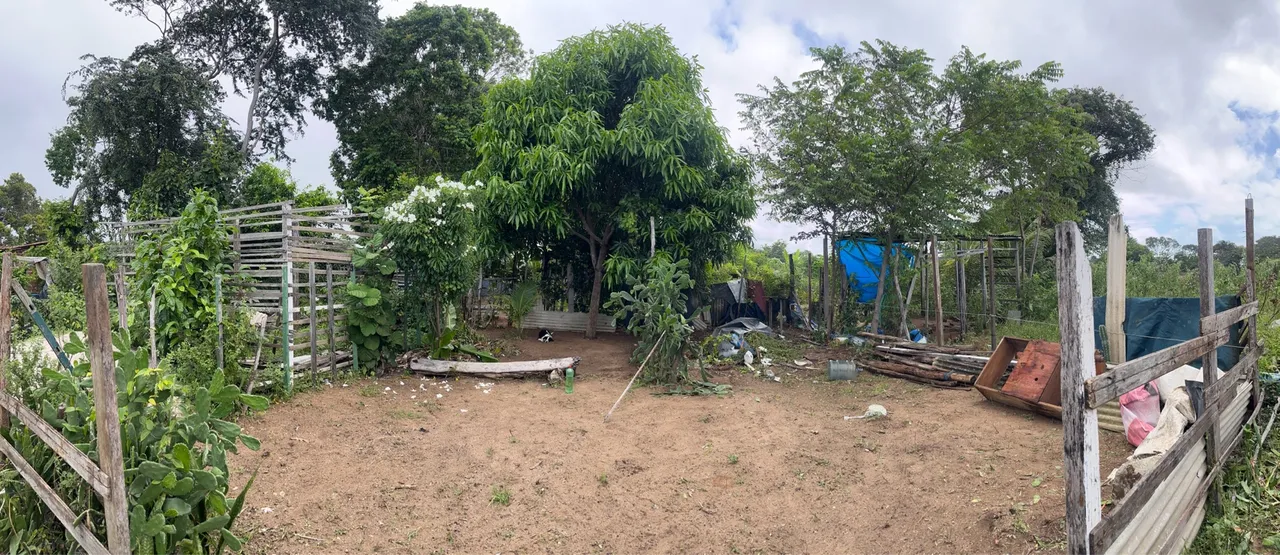 Terreno à venda. Preço a negociar
