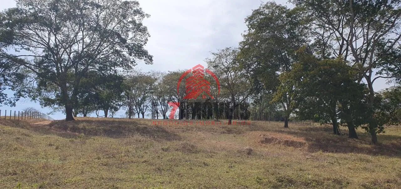 CHÁCARA NO MUNICÍPIO DE BELA VISTA  GO