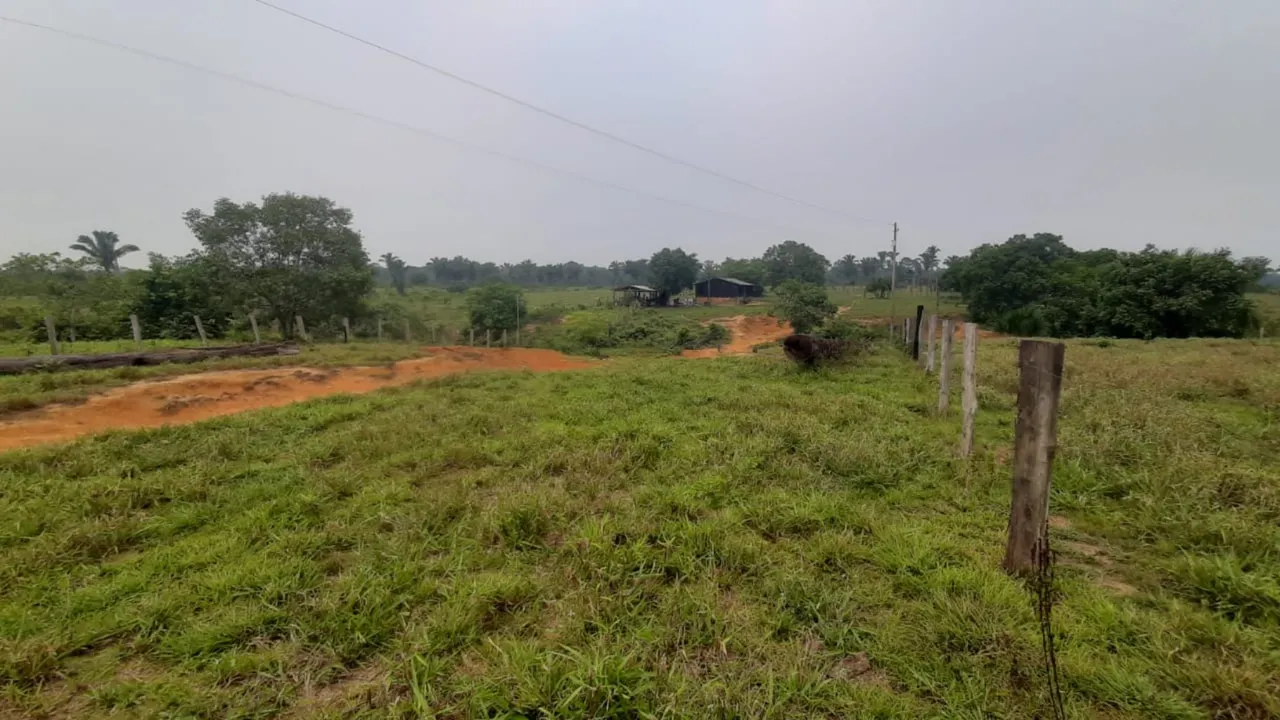 Vendo Sítio 70 hectares com 40 hectares formado na Linha 22, BR 319. Possui Título definit