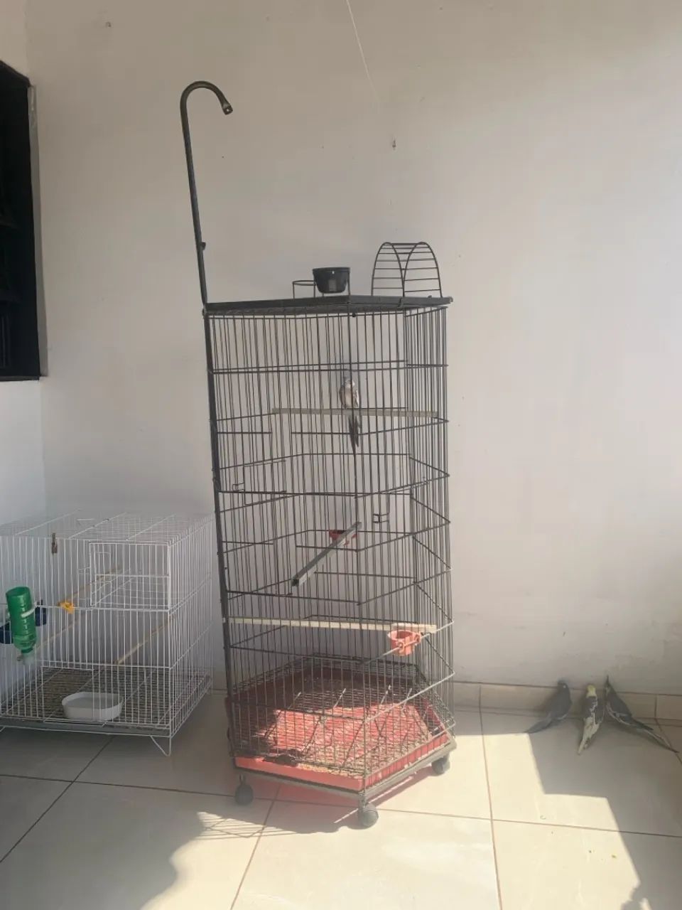 Gaiola grande redonda pássaro  - Foto 2