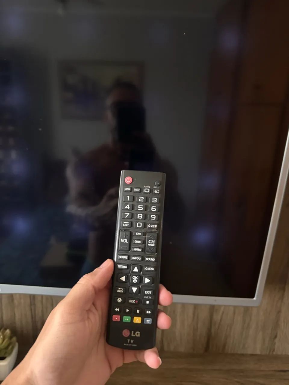 TV LG 39 - Foto 5