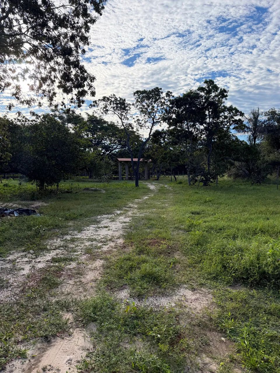 Sítio em campo maior  - Foto 2