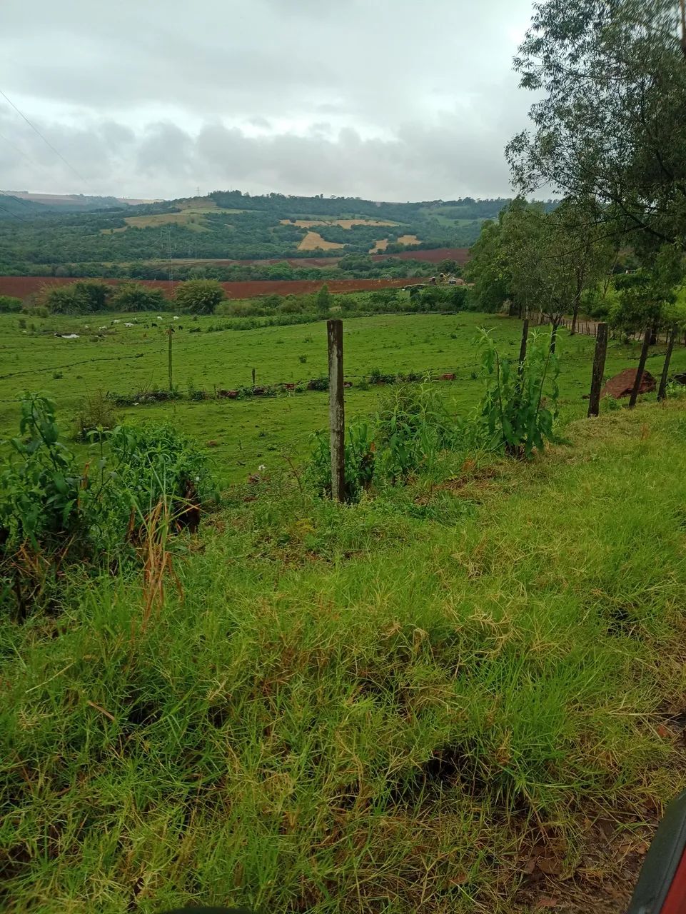 Pasto para cavalo  - Foto 3