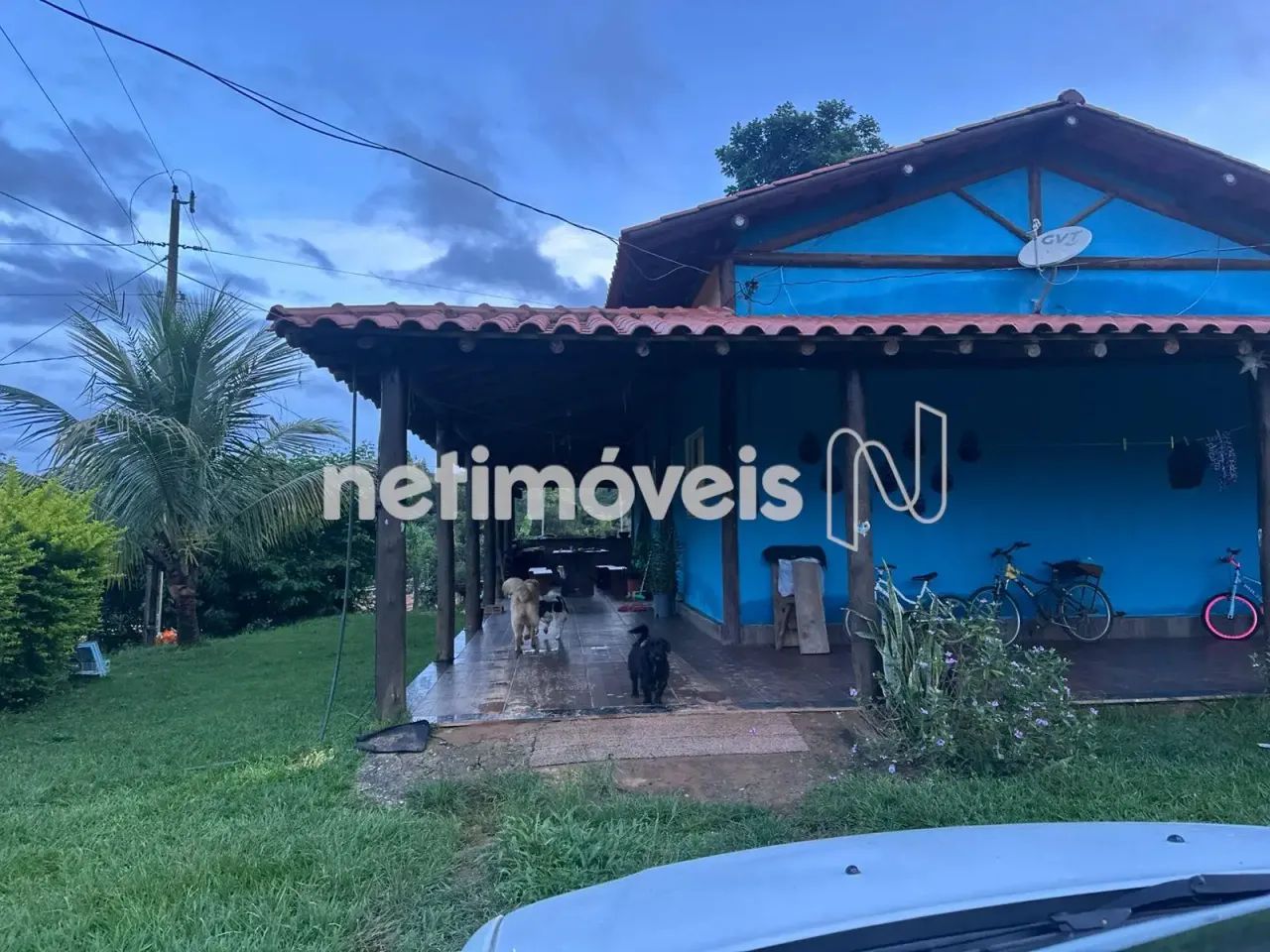 Venda Sítio Gameleira da Palma Baldim