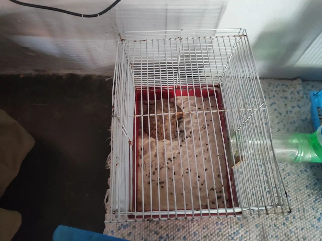 Hamster (gaiolas e túnel) - Foto 3