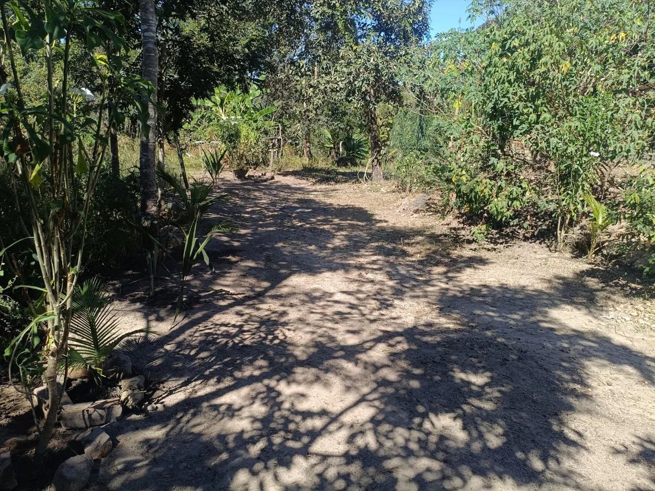 Chacara na usina do rochedo  - Foto 2