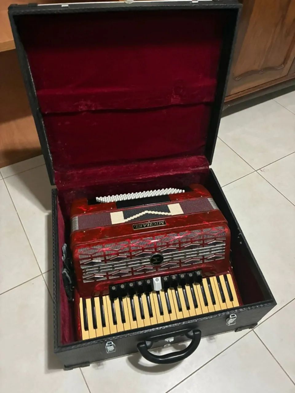 Sanfona Michale 120 baixos + case + bag
