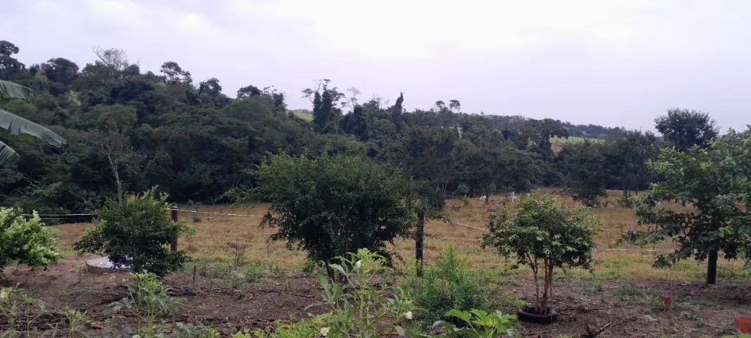Vende-se sítio em Itapetininga 31.000m2 - Foto 5