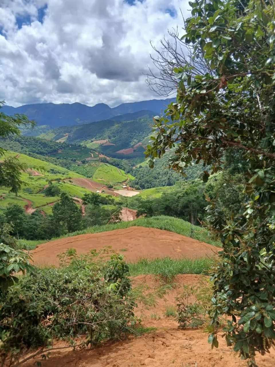 Vendo Terreno 1 hectare em São roque do Canaã