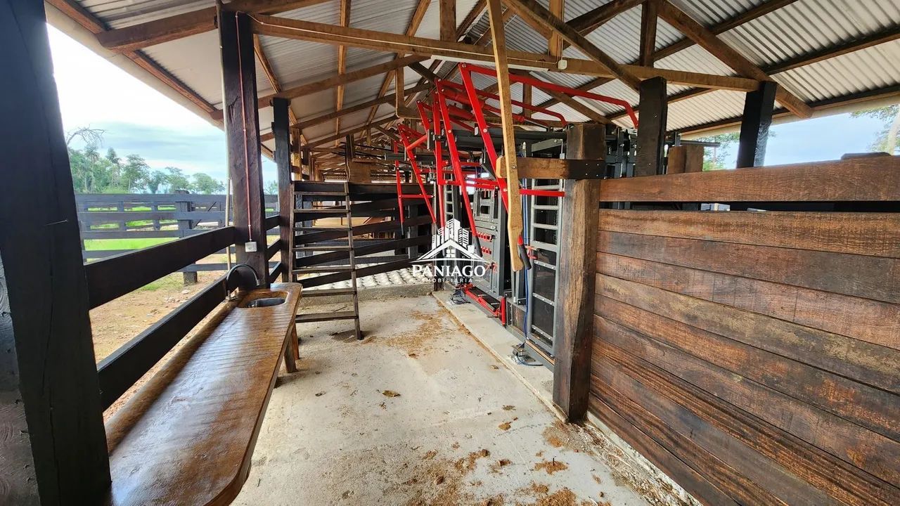 Fazenda 1550ha - Foto 5
