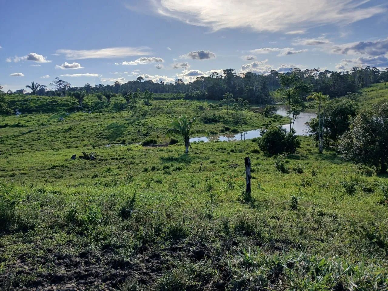 DOIS LOTES À VENDA EM FEIJÓ  - Foto 5