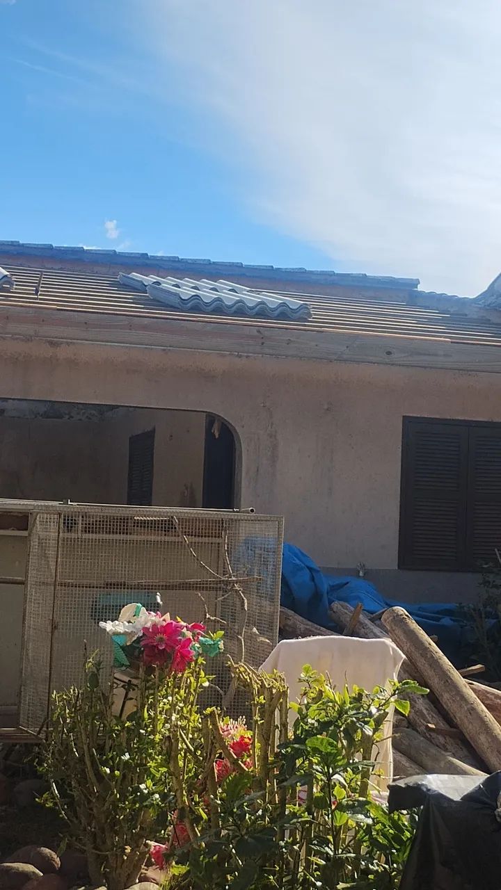Carpinteiro  - Foto 2