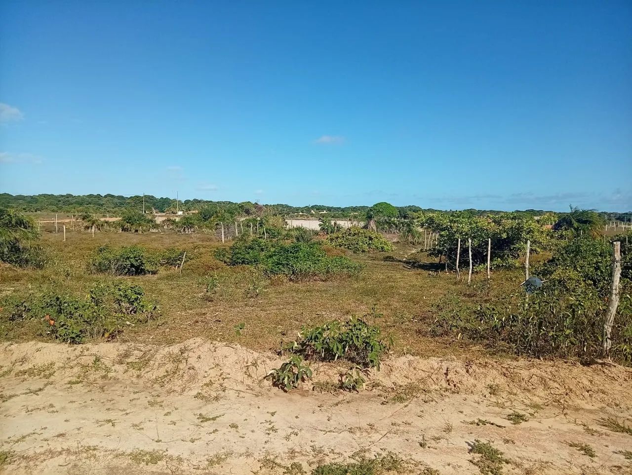 Terreno no Abais Loteamento Estrela do Abais - Foto 3