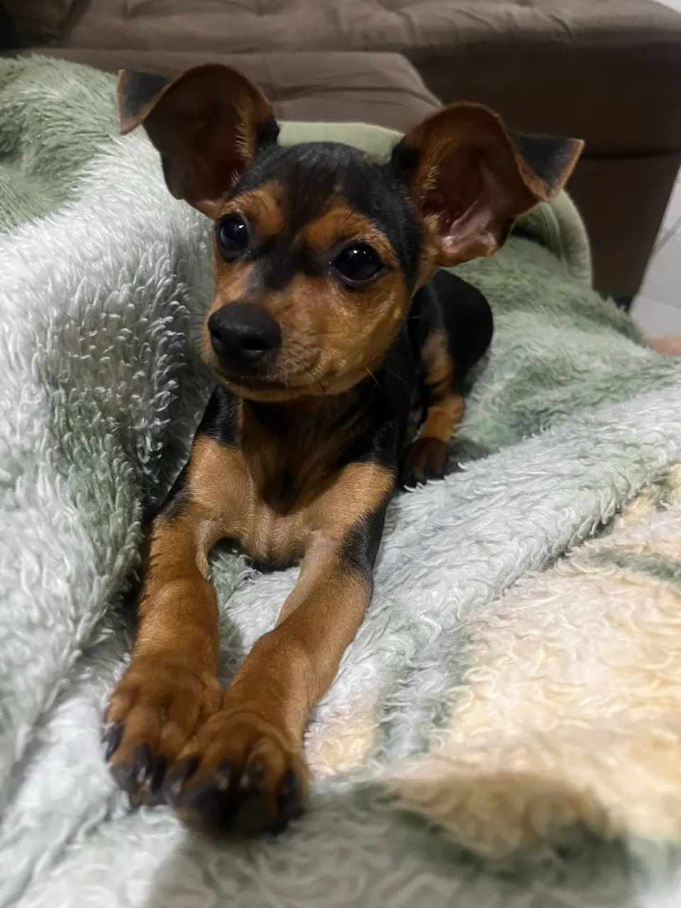 Vendo  150,00 - Foto 2