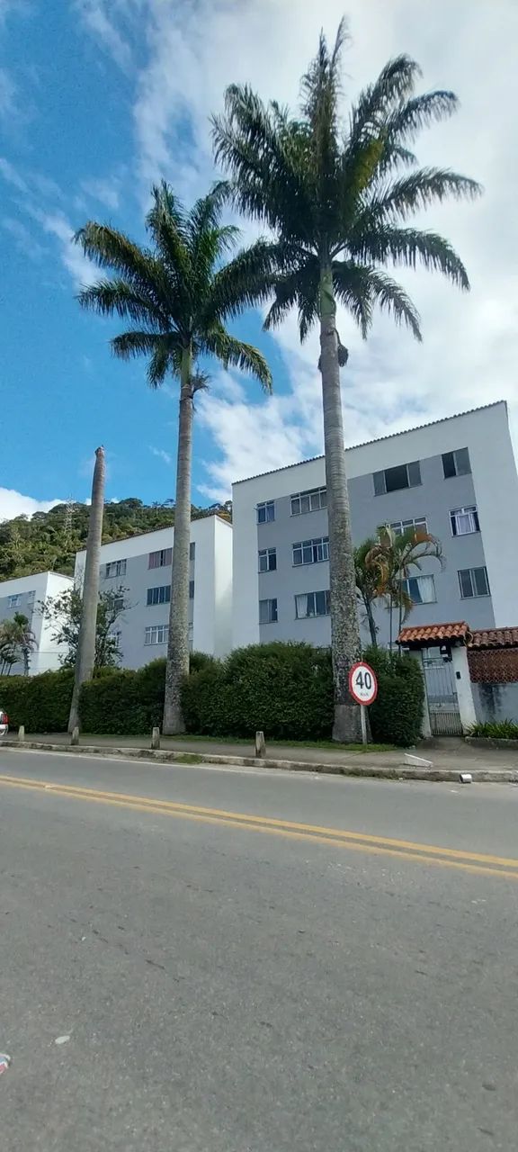 Foto - Teresópolis - Paineira