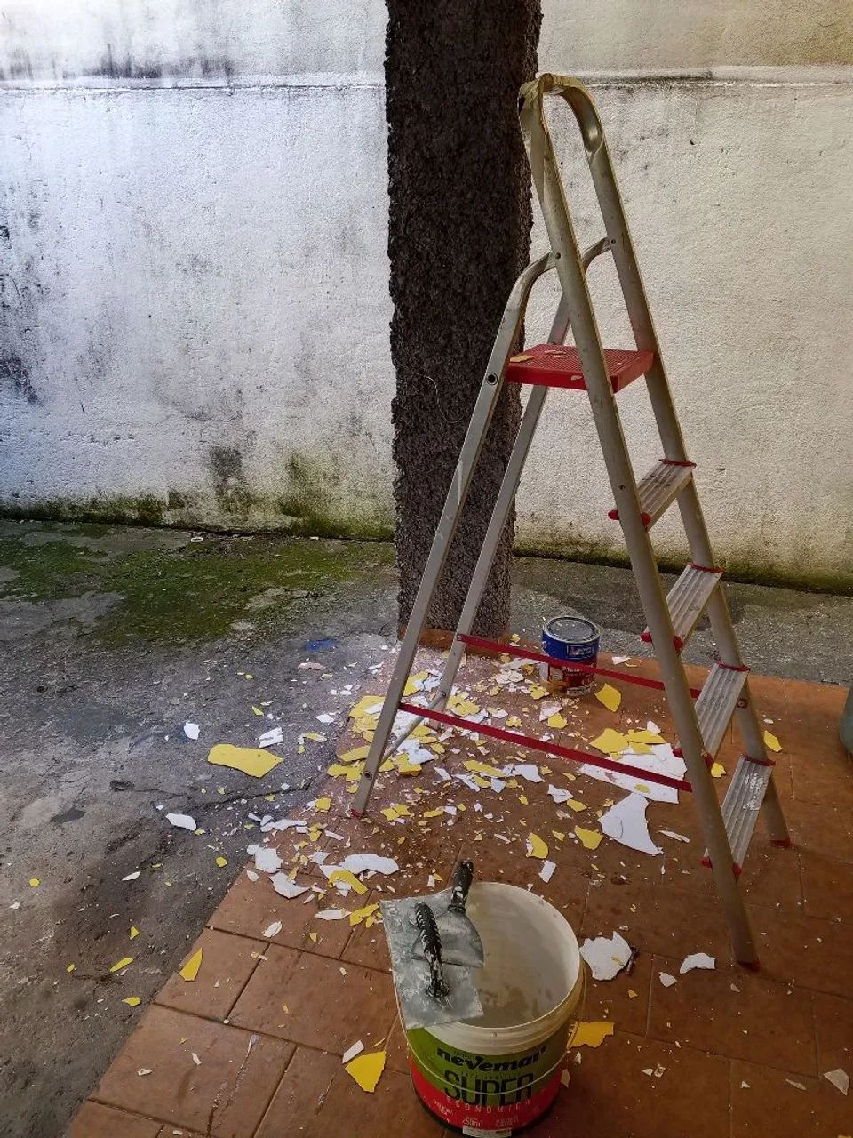 Pintor  - Foto 2