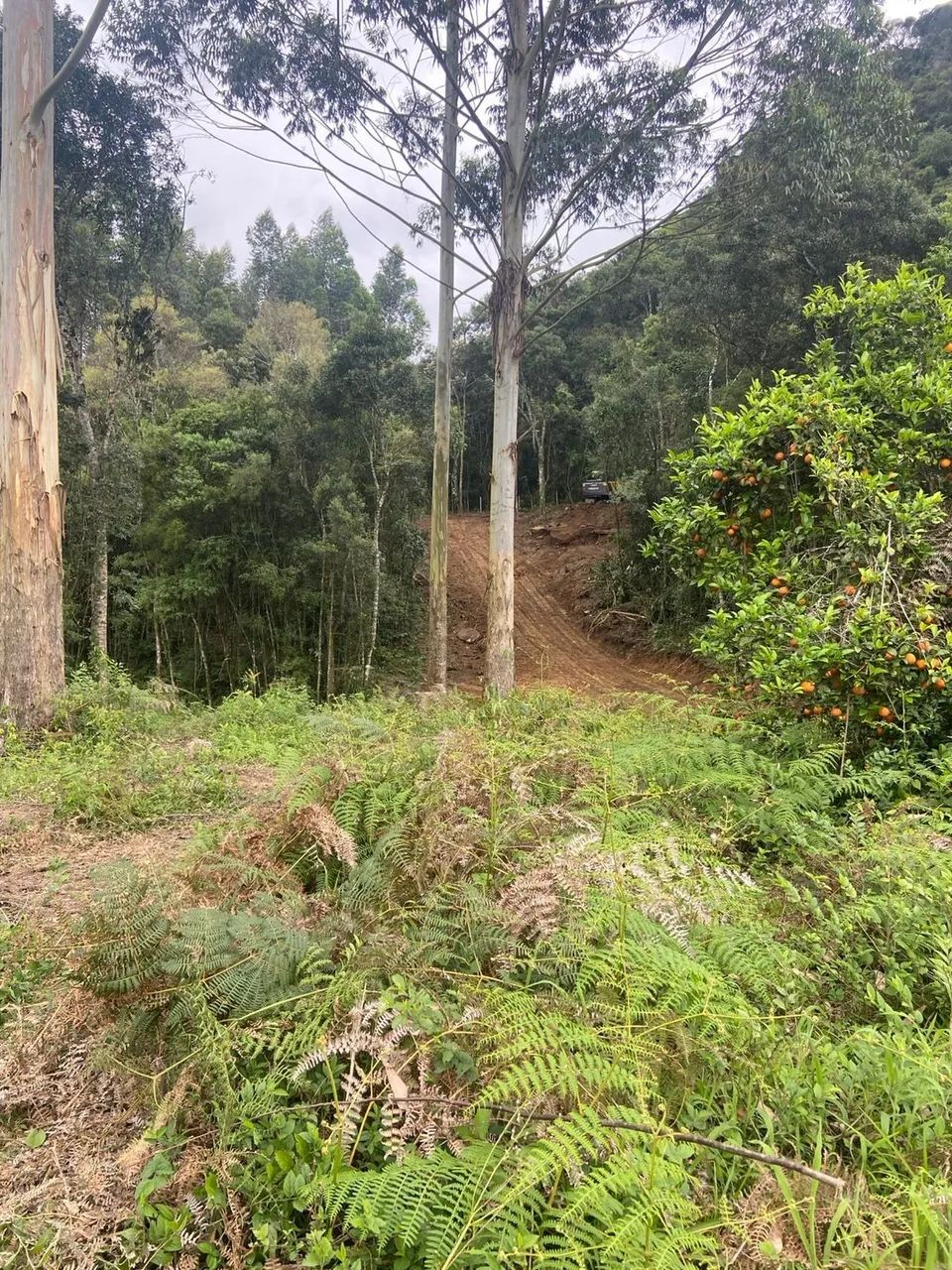 Terreno em Rancho Queimado - Foto 4