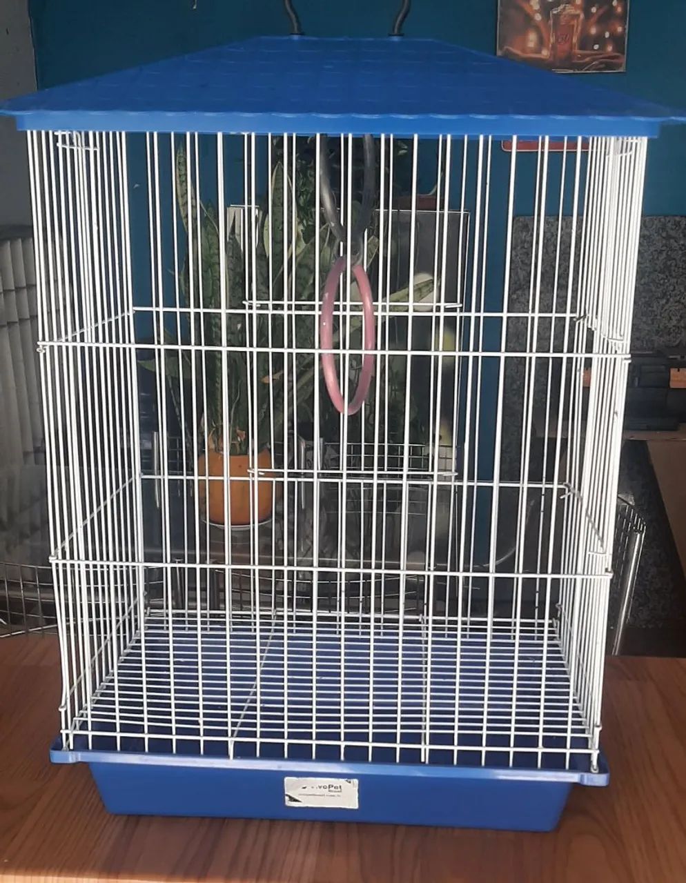 Gaiola 