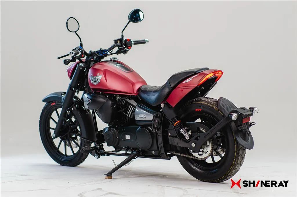 SHINERAY TITANIUM 250 - Foto 4