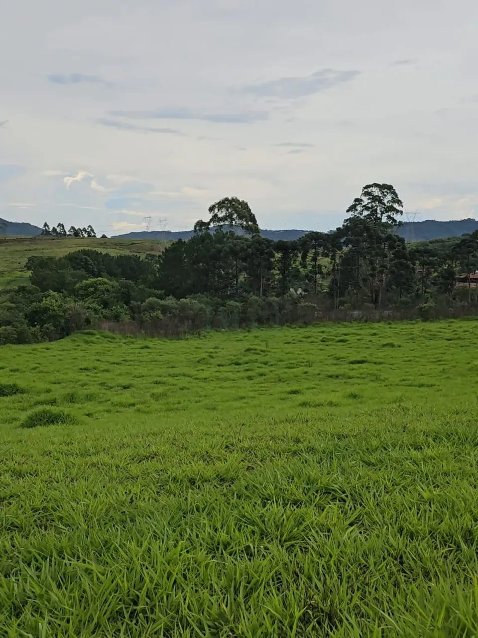 Terrenos Loteamento em Poços de Caldas - Foto 4