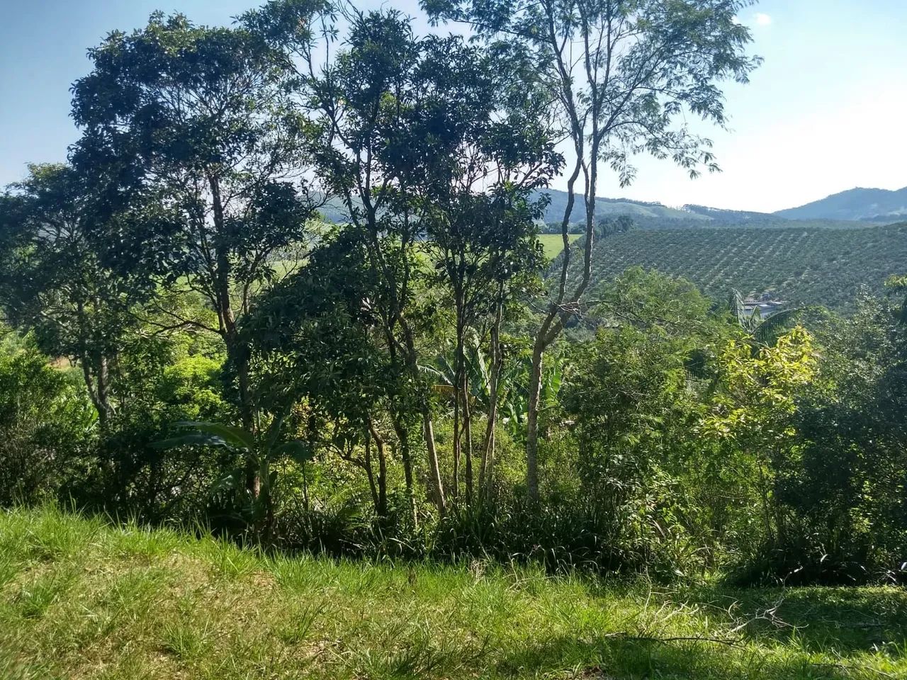 Terreno em Guararema 