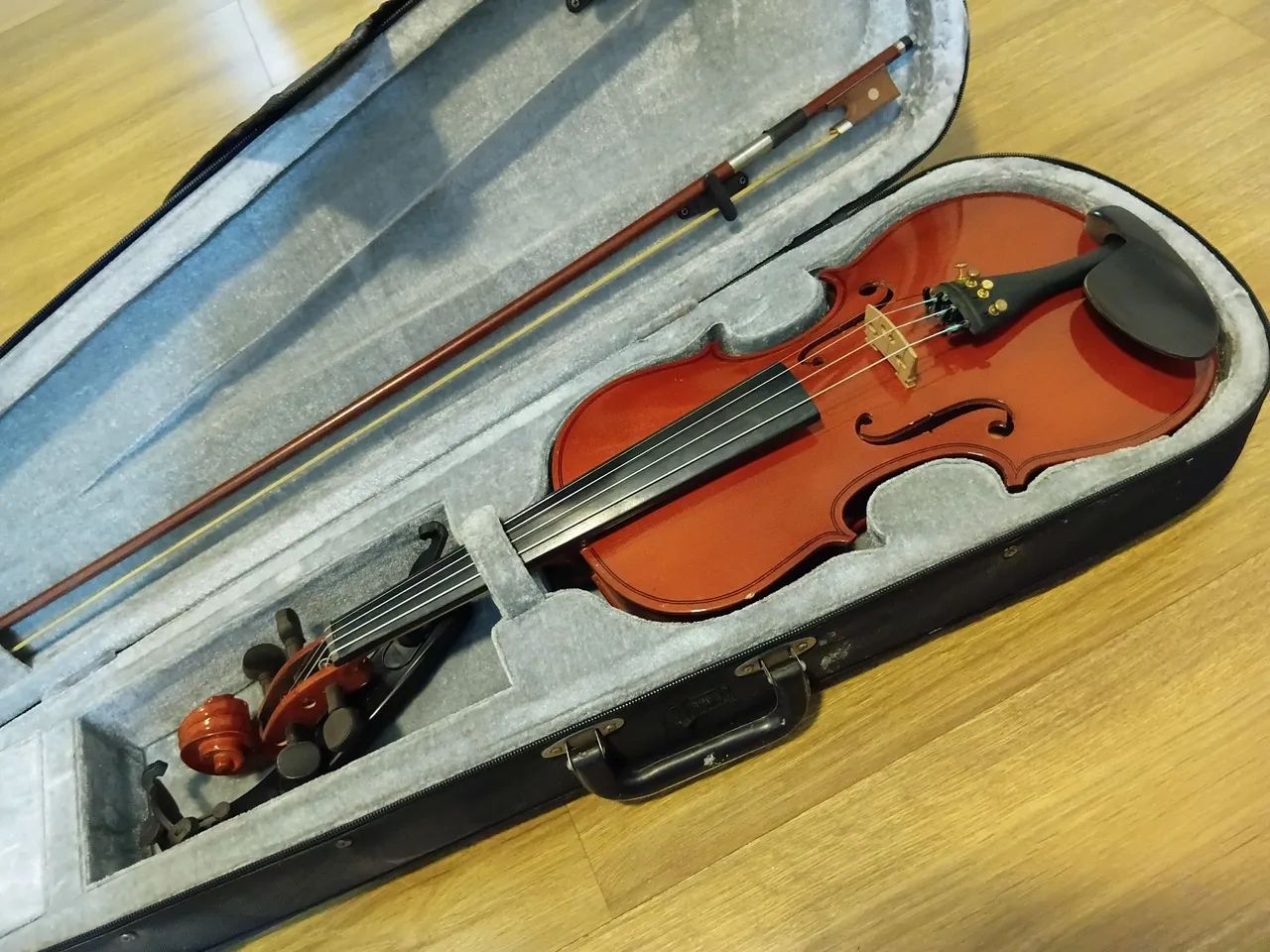 Violino