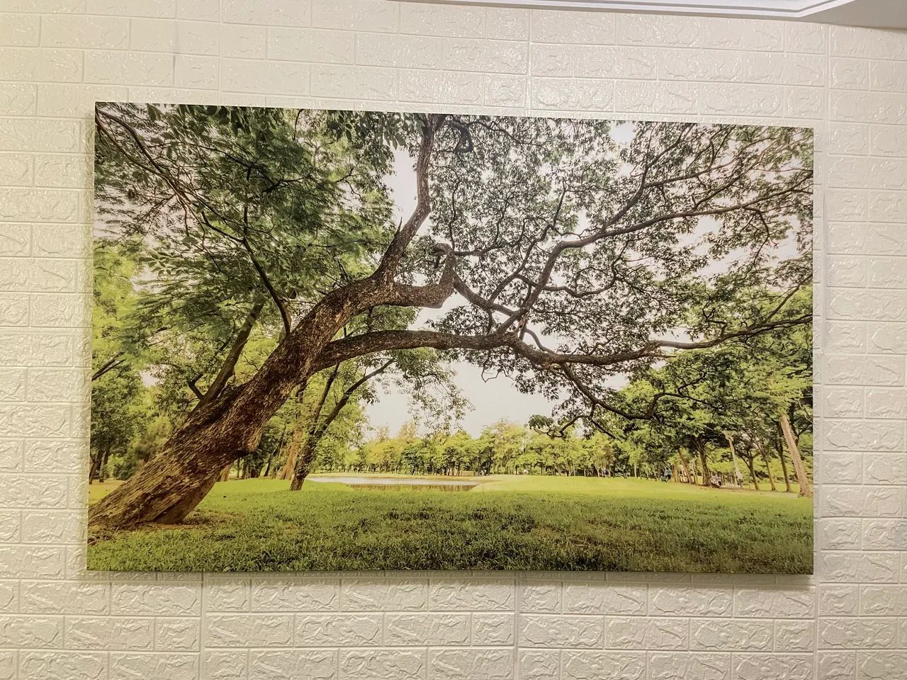 Quadro 