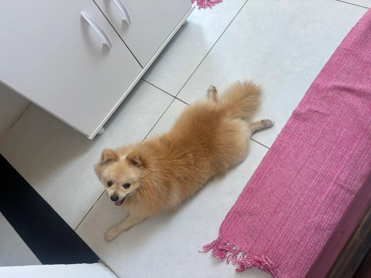 Lulu 