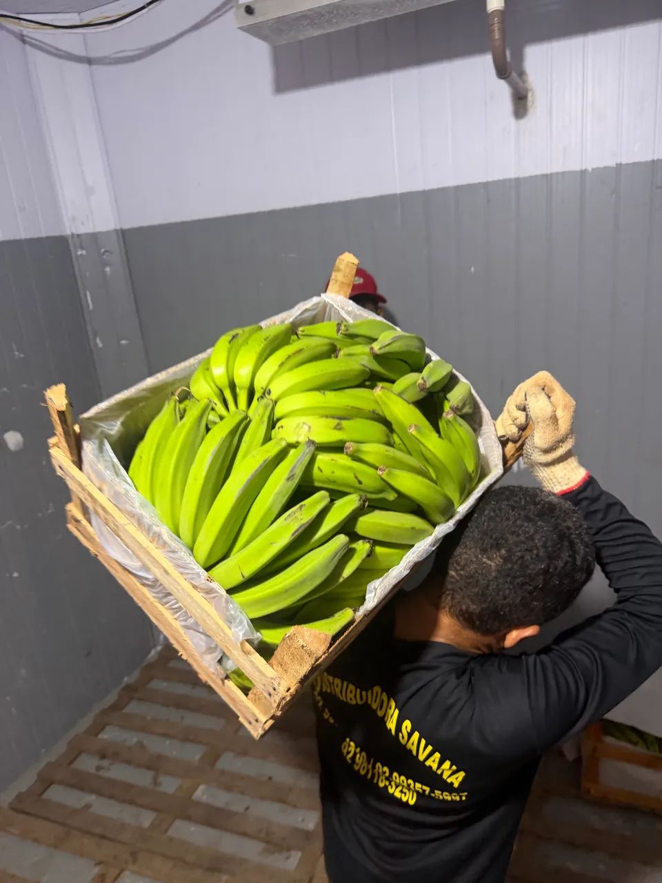 BANANAS EM GERAL  - Foto 2
