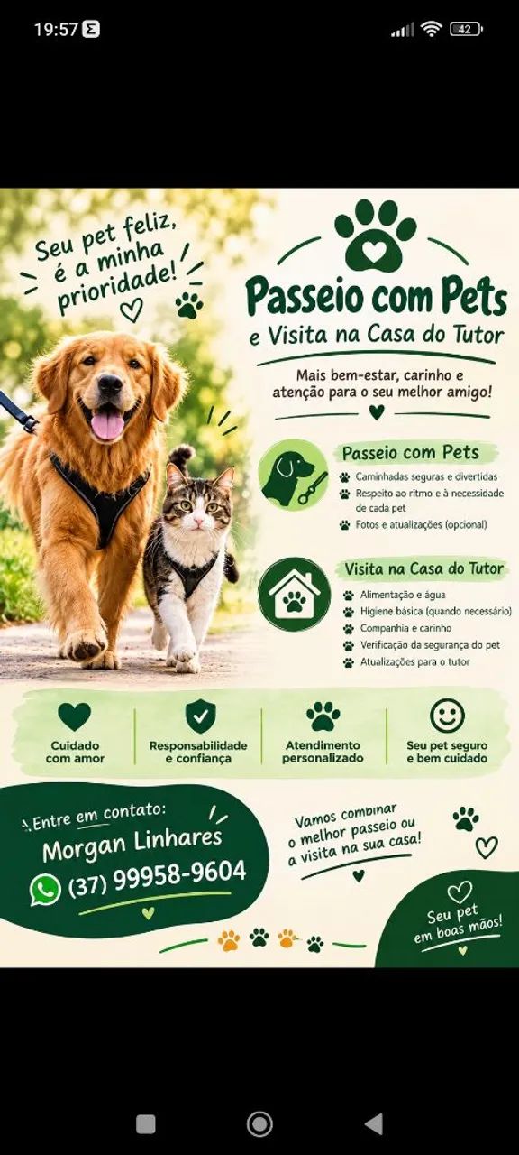 Dog Walker (passeando com seu Pet